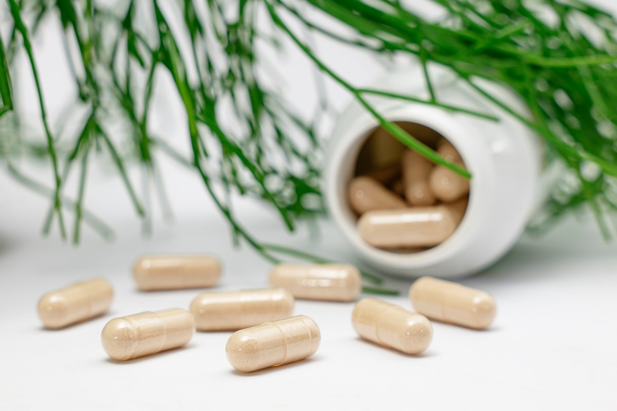 Article on muscle recovery and vitamin supplementation